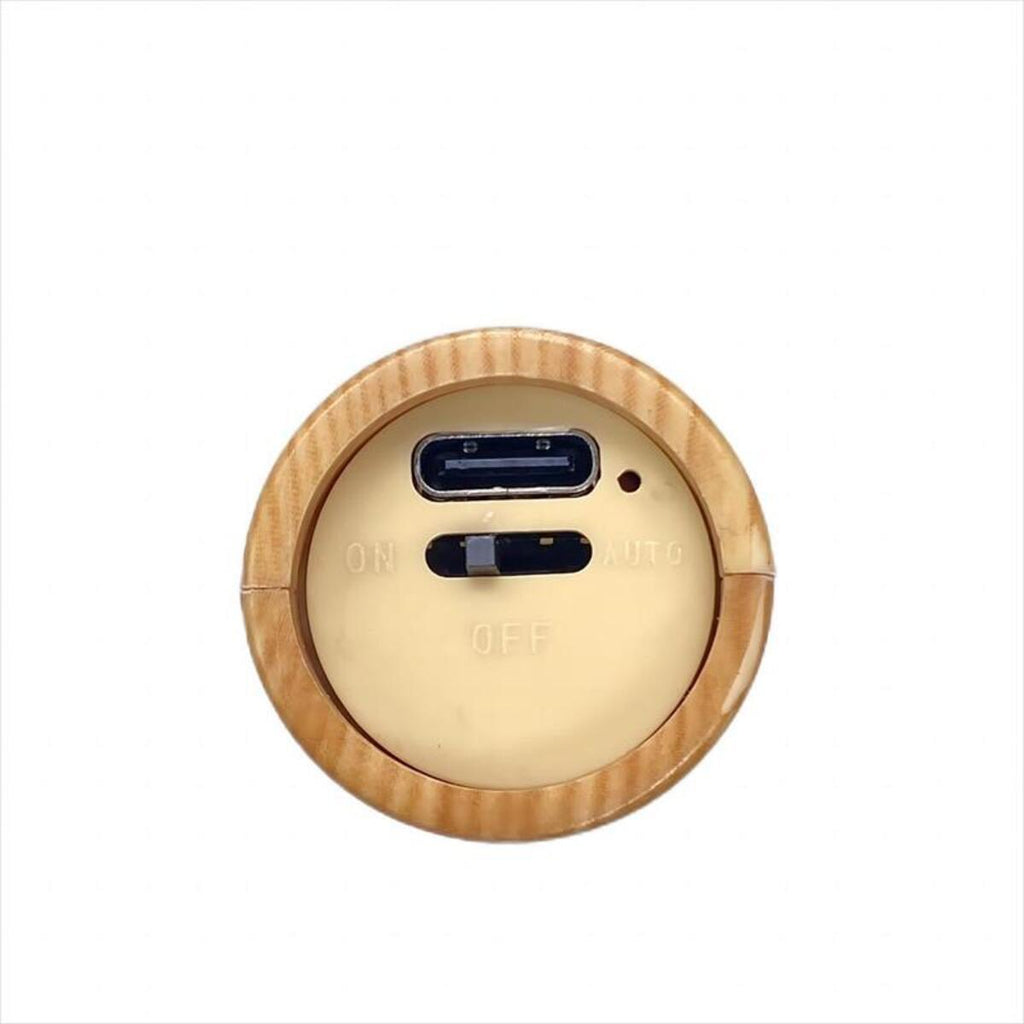 Wooden Wall Sconce — Rechargeable Motion Sensor Night Light