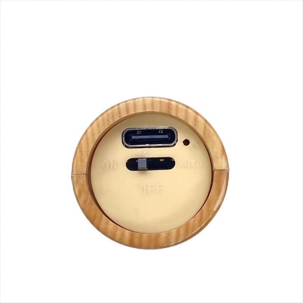 Wooden Wall Sconce — Rechargeable Motion Sensor Night Light