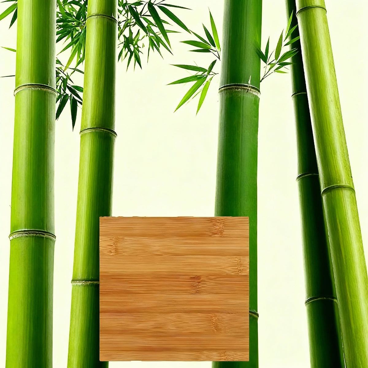 Bamboo Bookshelf with Adjustable Shelves