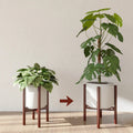 Adjustable Bamboo Plant Stand — 8–12 Inches