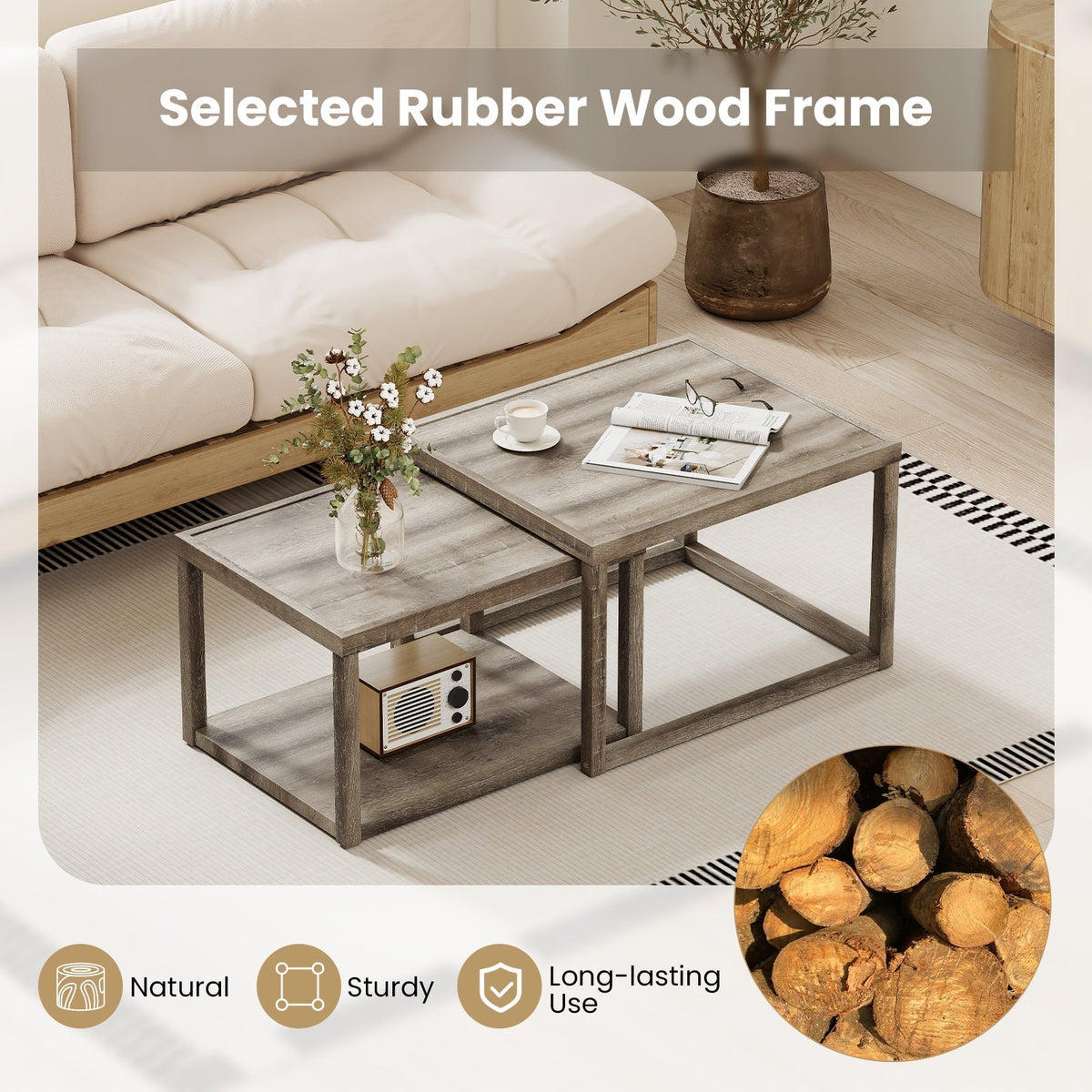 Nesting Coffee Table Set of 2 Rectangular