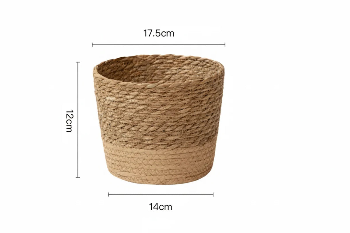 Woven Seaweed Planter