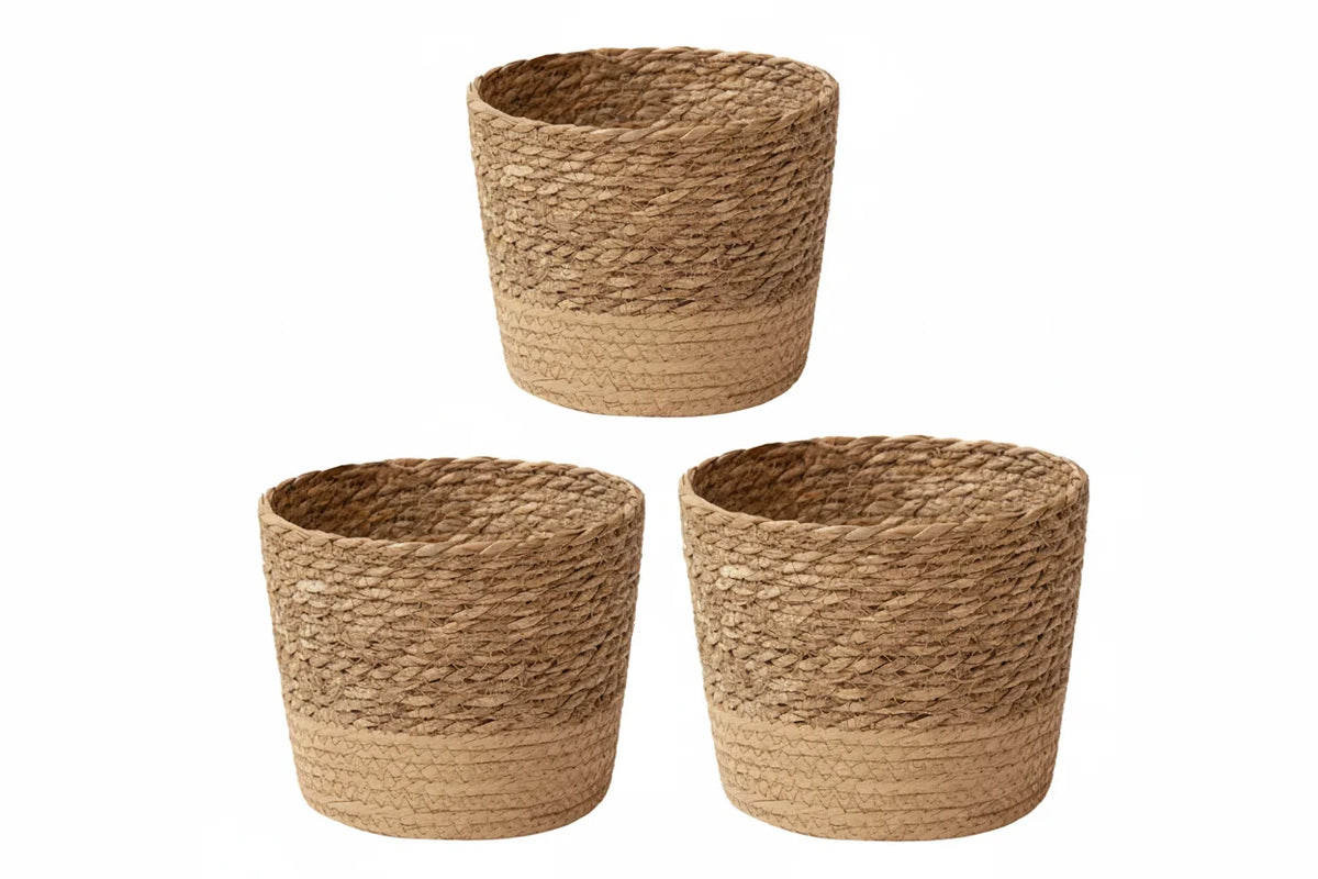 Woven Seaweed Planter