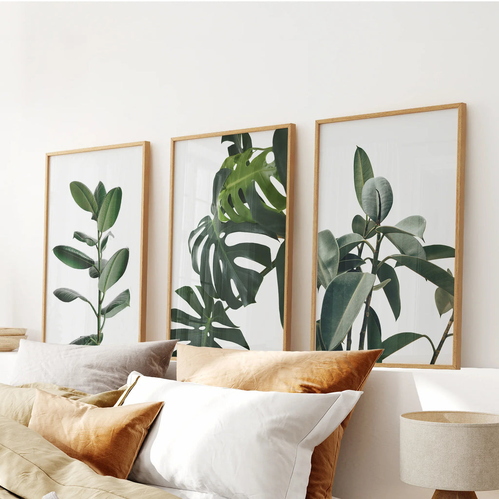 Botanical - Tropical Monstera, Rubber Plant Wall Prints Set