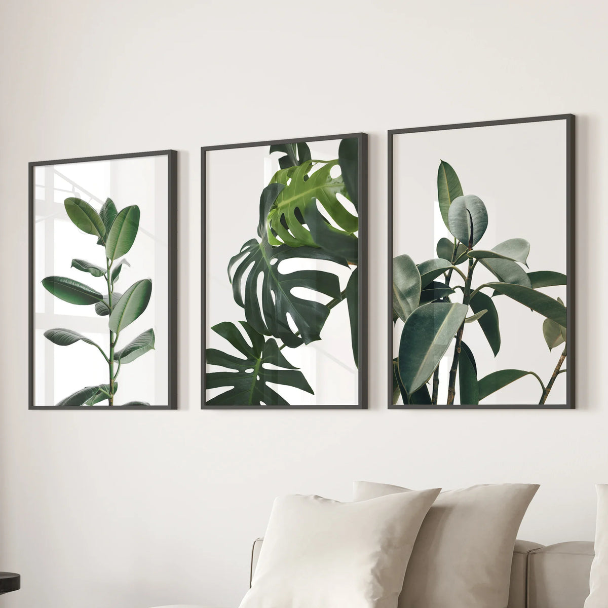 Botanical - Tropical Monstera, Rubber Plant Wall Prints Set