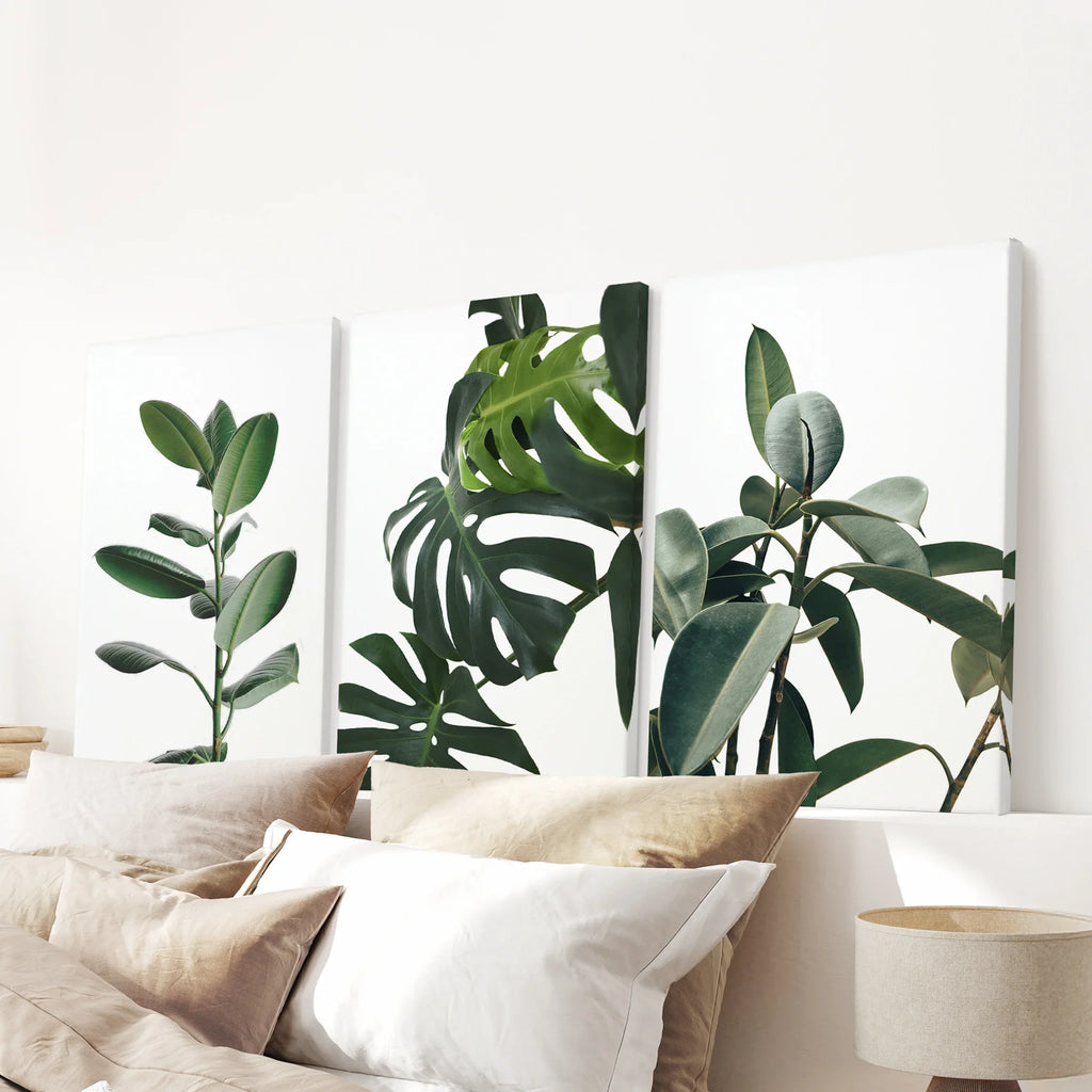 Botanical - Tropical Monstera, Rubber Plant Wall Prints Set