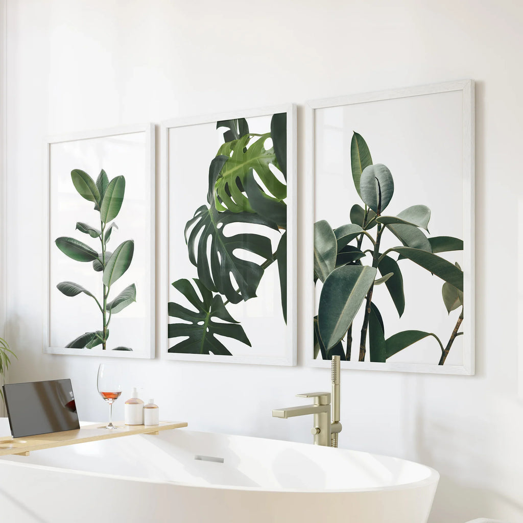 Botanical - Tropical Monstera, Rubber Plant Wall Prints Set