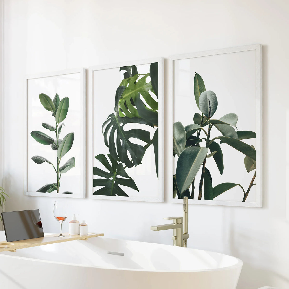 Botanical - Tropical Monstera, Rubber Plant Wall Prints Set