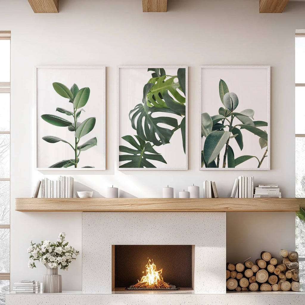 Botanical - Tropical Monstera, Rubber Plant Wall Prints Set