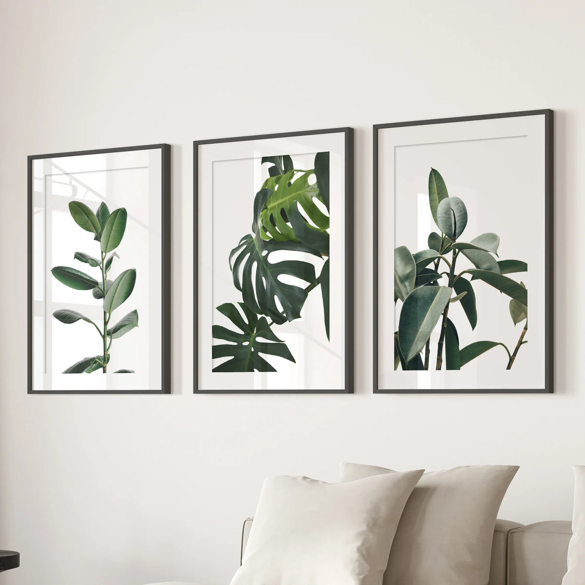 Botanical - Tropical Monstera, Rubber Plant Wall Prints Set