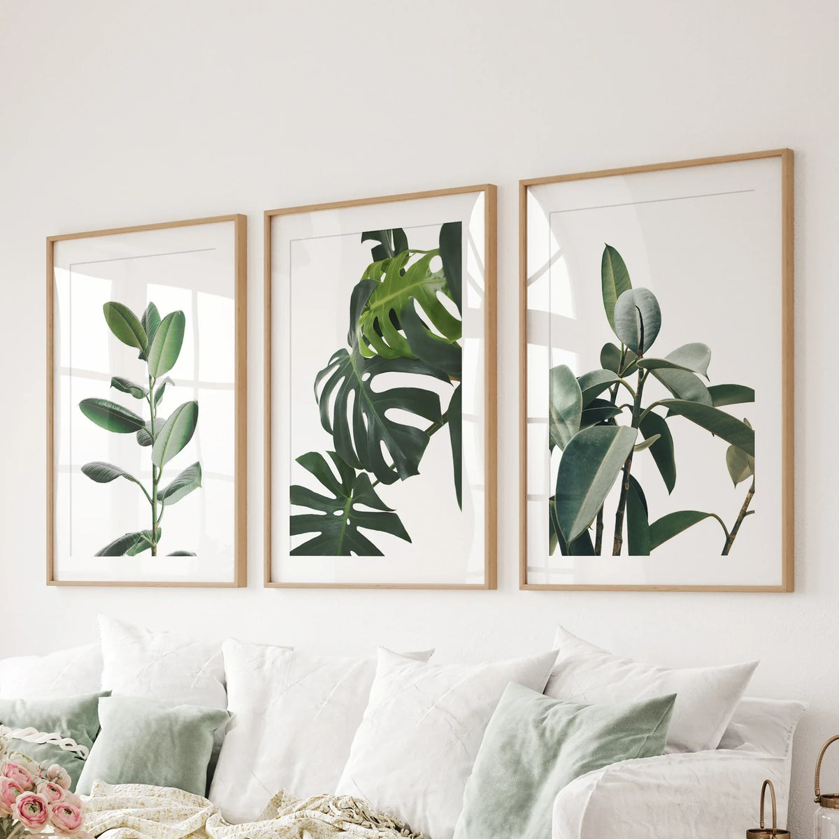 Botanical - Tropical Monstera, Rubber Plant Wall Prints Set