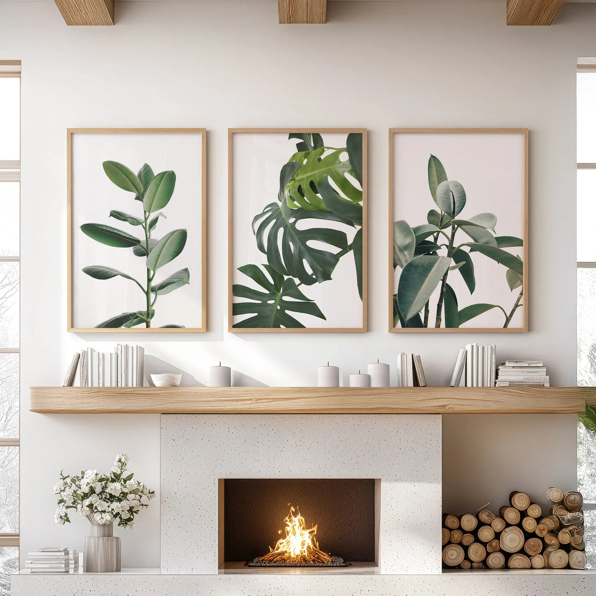 Botanical - Tropical Monstera, Rubber Plant Wall Prints Set