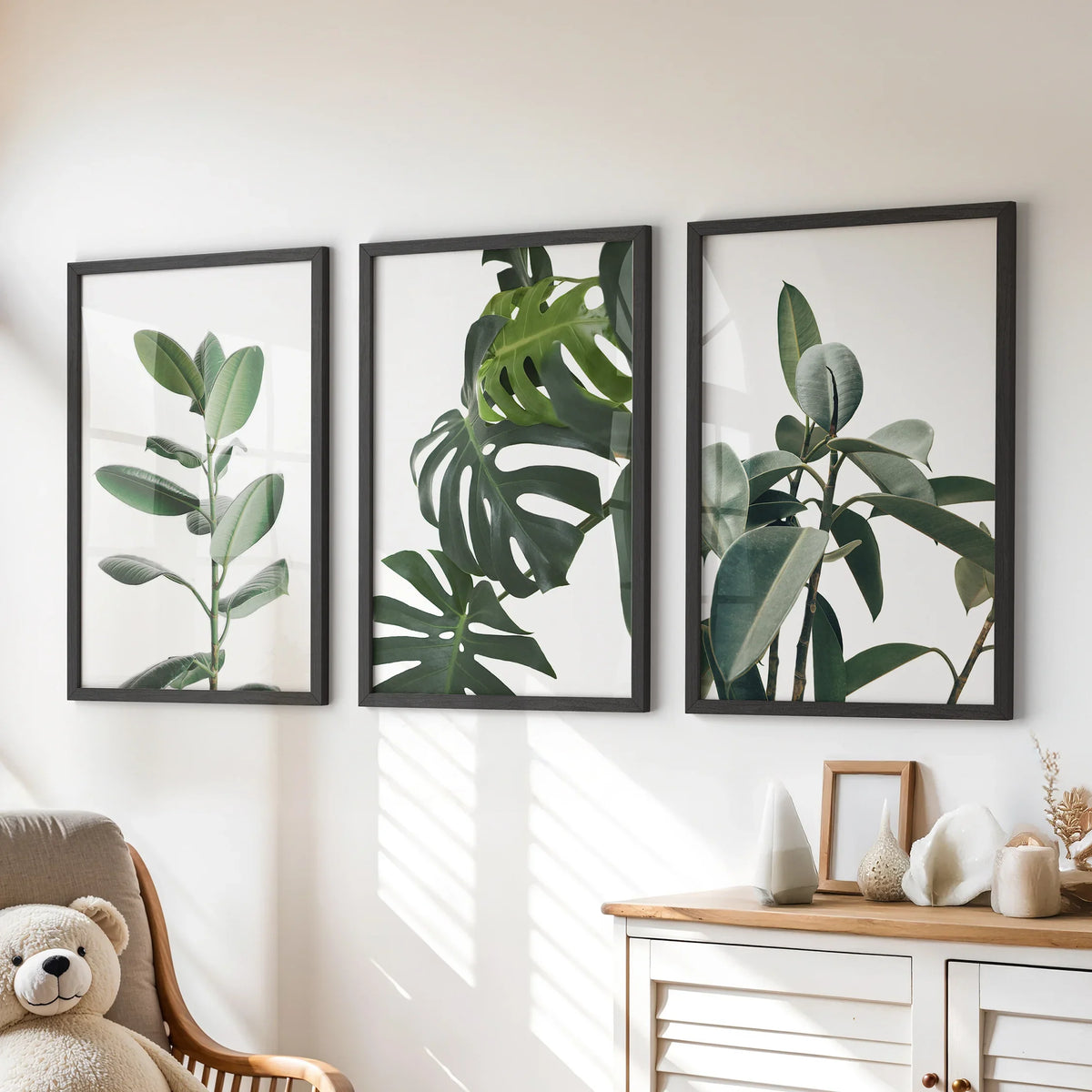 Botanical - Tropical Monstera, Rubber Plant Wall Prints Set