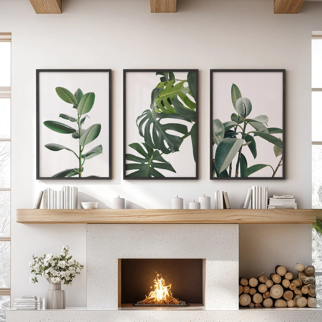 Botanical - Tropical Monstera, Rubber Plant Wall Prints Set